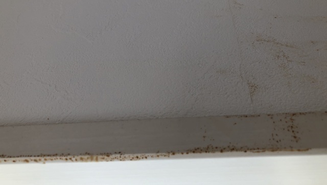 壁紙クロスを張替えたのに茶色の汚れ シミが出る原因と壁紙シミ取りは 50歳からの住まいのコーディネーター インテリアコーディネーター