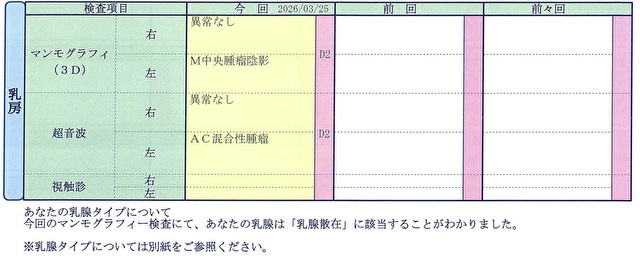 乳房／乳腺科・判定項目